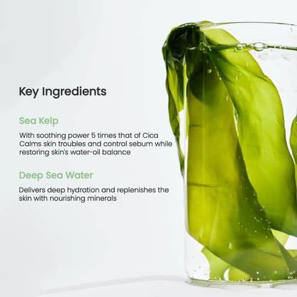 Refreshing Sea Kelp Real Deep Mask - Mascarilla Facial Calmante