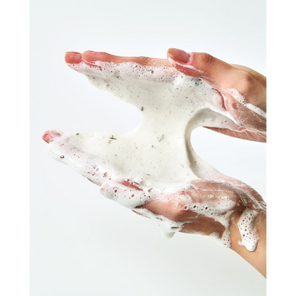 Heartleaf Quercetinol Pore Deep Cleansing Foam - Limpiador Facial